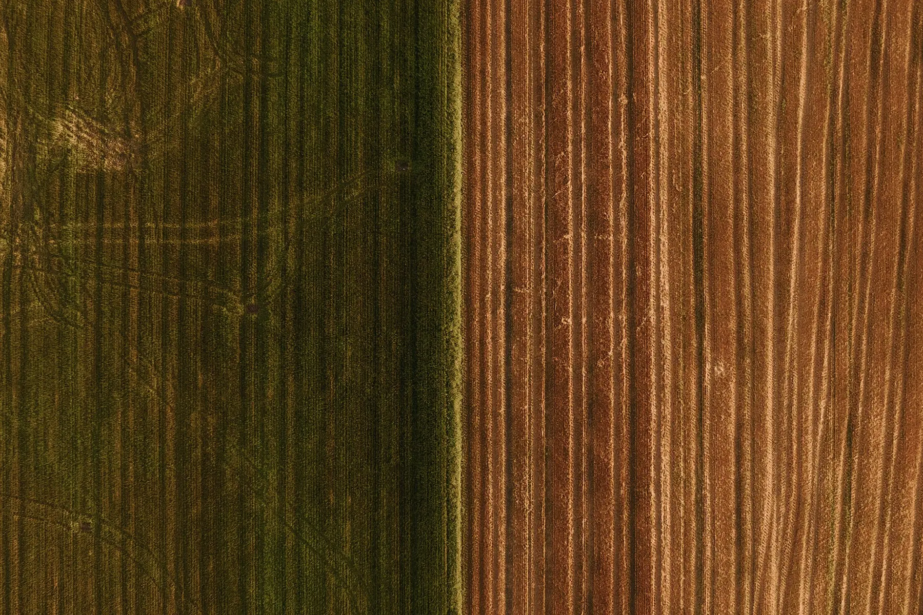 Vista aérea de áreas agrícolas cultivadas